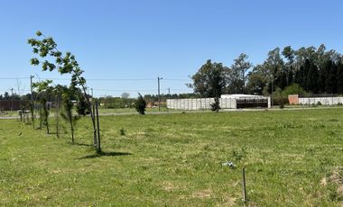 Venta Terreno Longchamps - Lote Barrio 