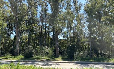 Venta Terreno Longchamps - Lote Barrio 