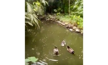 VILLETA, CASA CAMPESTRE EN VENTA