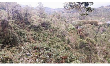 MH-536-Lote -.Parcelación La Cascada -Lote 62- El Retiro