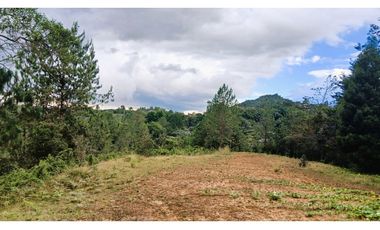 MH-536-Lote -.Parcelación La Cascada -Lote 62- El Retiro