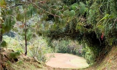 MH-536-Lote -.Parcelación La Cascada -Lote 62- El Retiro