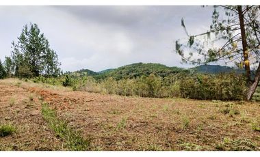 MH-536-Lote -.Parcelación La Cascada -Lote 62- El Retiro