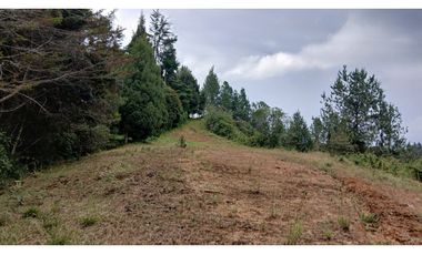 MH-536-Lote -.Parcelación La Cascada -Lote 62- El Retiro