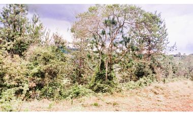 MH-536-Lote -.Parcelación La Cascada -Lote 62- El Retiro