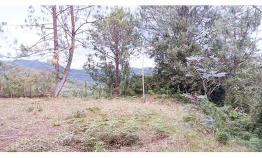 MH-536-Lote -.Parcelación La Cascada -Lote 62- El Retiro