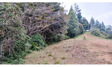 MH-536-Lote -.Parcelación La Cascada -Lote 62- El Retiro