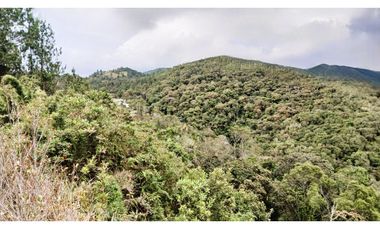 MH-536-Lote -.Parcelación La Cascada -Lote 62- El Retiro