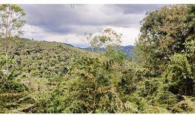 MH-536-Lote -.Parcelación La Cascada -Lote 62- El Retiro