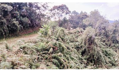 MH-536-Lote -.Parcelación La Cascada -Lote 62- El Retiro