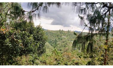 MH-536-Lote -.Parcelación La Cascada -Lote 62- El Retiro