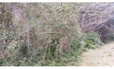 MH-536-Lote -.Parcelación La Cascada -Lote 62- El Retiro