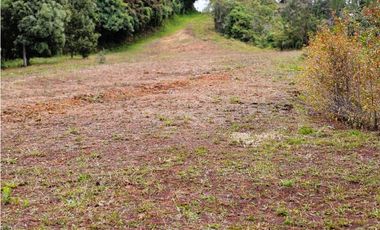 MH-536-Lote -.Parcelación La Cascada -Lote 62- El Retiro