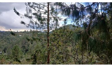 MH-536-Lote -.Parcelación La Cascada -Lote 62- El Retiro