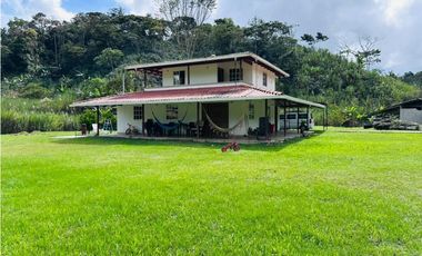 Vendo finca en San Roque