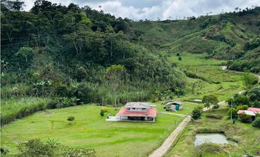 Vendo finca en San Roque
