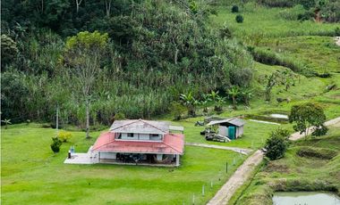 Vendo finca en San Roque
