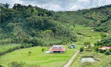Vendo finca en San Roque