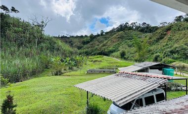 Vendo finca en San Roque