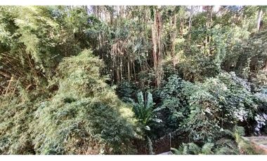 Vendo apto en perfecto estado Avesmarias Sabaneta, vista a verde