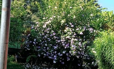 VENTA DE CASA EN ALGARROBOS 3R