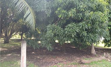 SAN CARLOS / COSTA ESMERALDA / 1045 M / TERRENO PLANO / PLAYA / AG