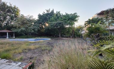 A un costado del Camino Real