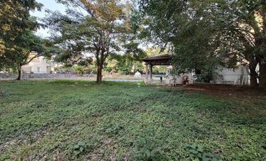 A un costado del Camino Real