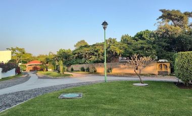 A un costado del Camino Real