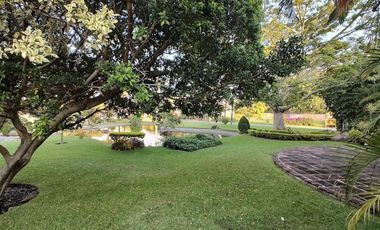 A un costado del Camino Real