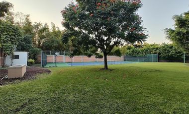 A un costado del Camino Real