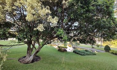 A un costado del Camino Real