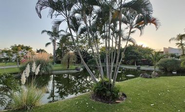 A un costado del Camino Real