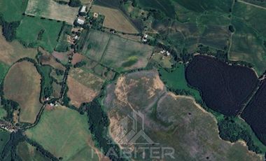Agrícola en Arriendo en COD39683 Campo en Coihueco