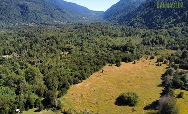 Agrícola en Venta en 30,8 hectareas en Ralun, sector Los Ladrillos