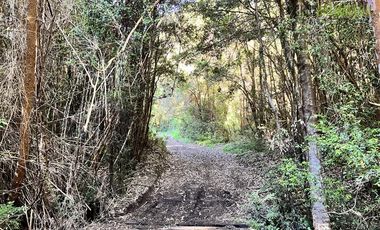 Agrícola en Venta en 30,8 hectareas en Ralun, sector Los Ladrillos