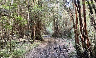 Agrícola en Venta en 30,8 hectareas en Ralun, sector Los Ladrillos