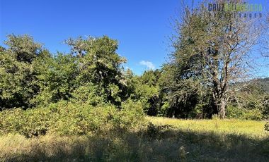 Agrícola en Venta en 30,8 hectareas en Ralun, sector Los Ladrillos