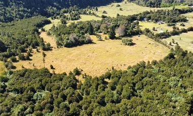 Agrícola en Venta en 30,8 hectareas en Ralun, sector Los Ladrillos