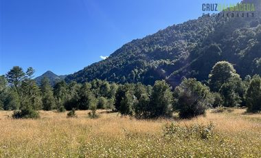 Agrícola en Venta en 30,8 hectareas en Ralun, sector Los Ladrillos