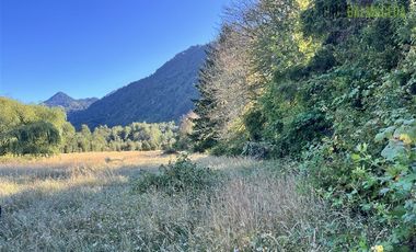 Agrícola en Venta en 30,8 hectareas en Ralun, sector Los Ladrillos