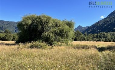 Agrícola en Venta en 30,8 hectareas en Ralun, sector Los Ladrillos