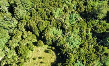 Agrícola en Venta en 30,8 hectareas en Ralun, sector Los Ladrillos