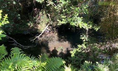 Agrícola en Venta en 30,8 hectareas en Ralun, sector Los Ladrillos