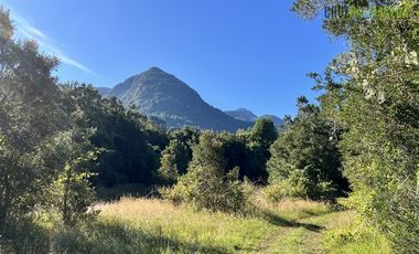 Agrícola en Venta en 30,8 hectareas en Ralun, sector Los Ladrillos