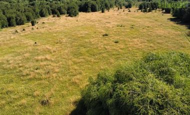 Agrícola en Venta en 30,8 hectareas en Ralun, sector Los Ladrillos