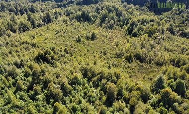 Agrícola en Venta en 30,8 hectareas en Ralun, sector Los Ladrillos