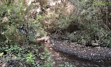 Agrícola en Venta en 30,8 hectareas en Ralun, sector Los Ladrillos
