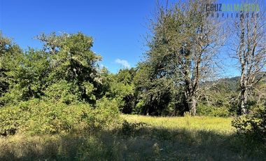 Agrícola en Venta en 30,8 hectareas en Ralun, sector Los Ladrillos