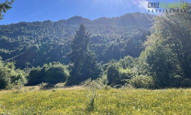 Agrícola en Venta en 30,8 hectareas en Ralun, sector Los Ladrillos